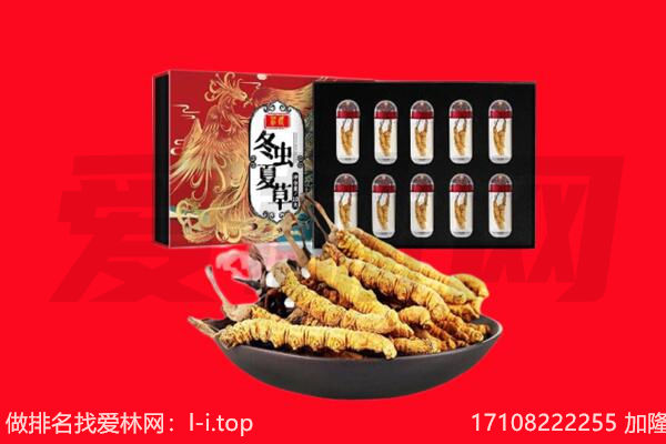 咸阳武功县回收虫草.jpg